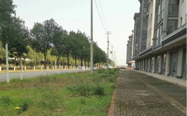 1.jpg