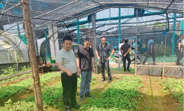 图片1_副本.jpg