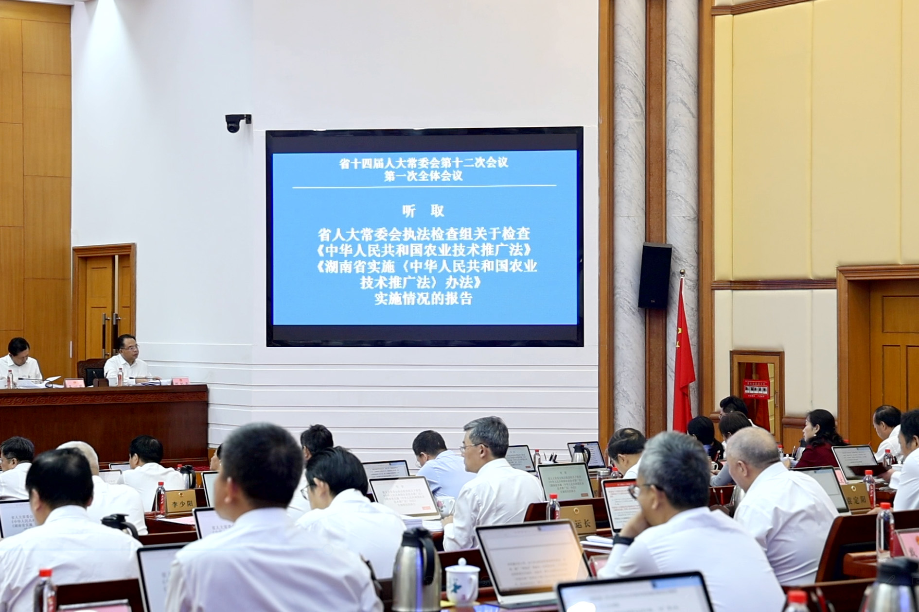 刘杏2.jpg