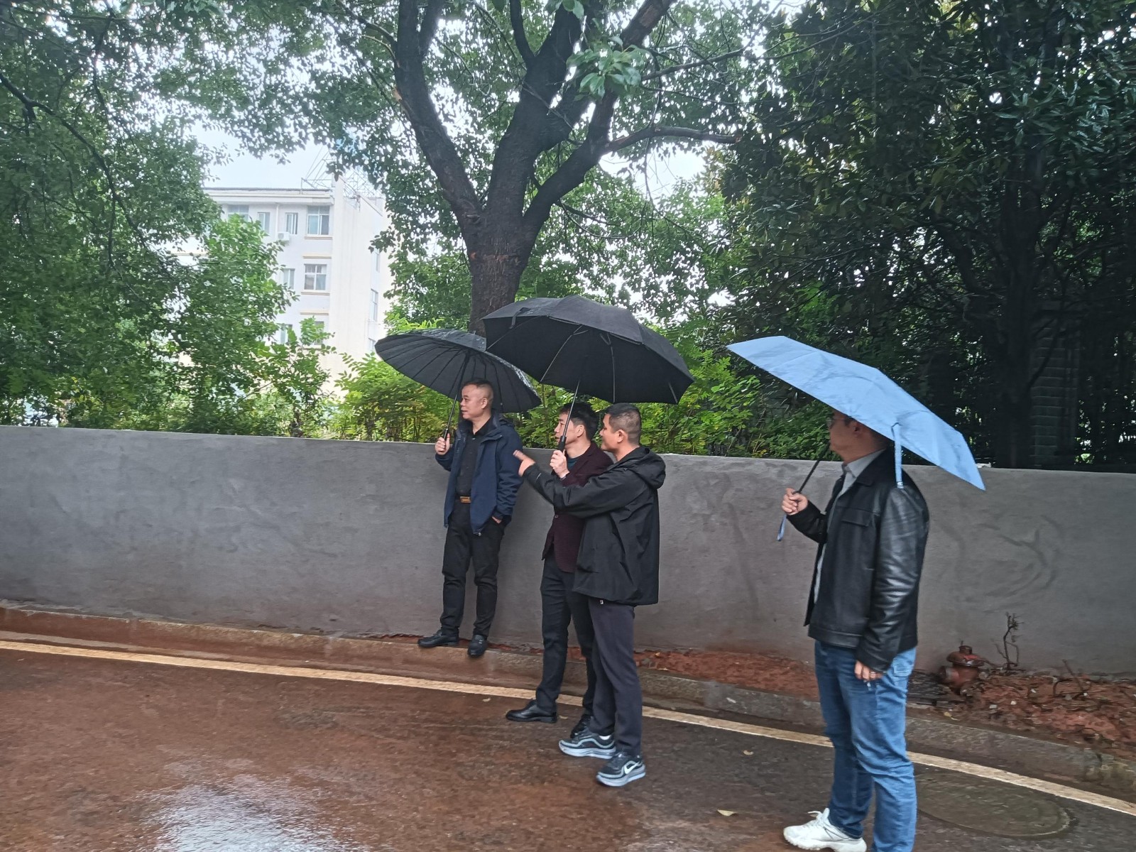 CB78CA7A1EB7C75B1FDD2505734B4998.jpg CB78CA7A1EB7C75B1FDD2505734B4998.jpg