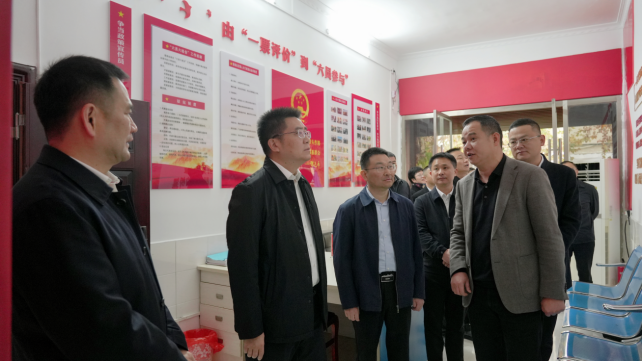 岳阳县委书记肖湘晖(左二)在基层社会治理代表联络站参加代表小组活动，县人大常委会主任周峰(左三)参加。.png