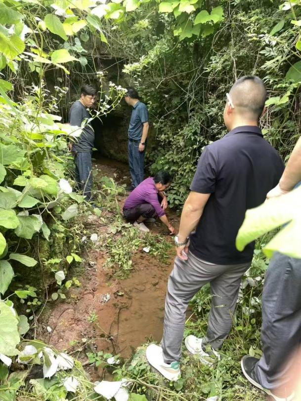 图片1.png 图片1.png