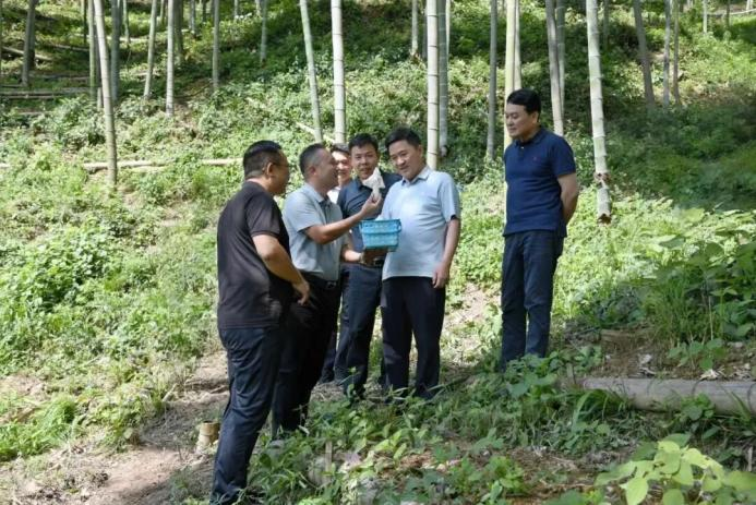 图片2.png 图片2.png