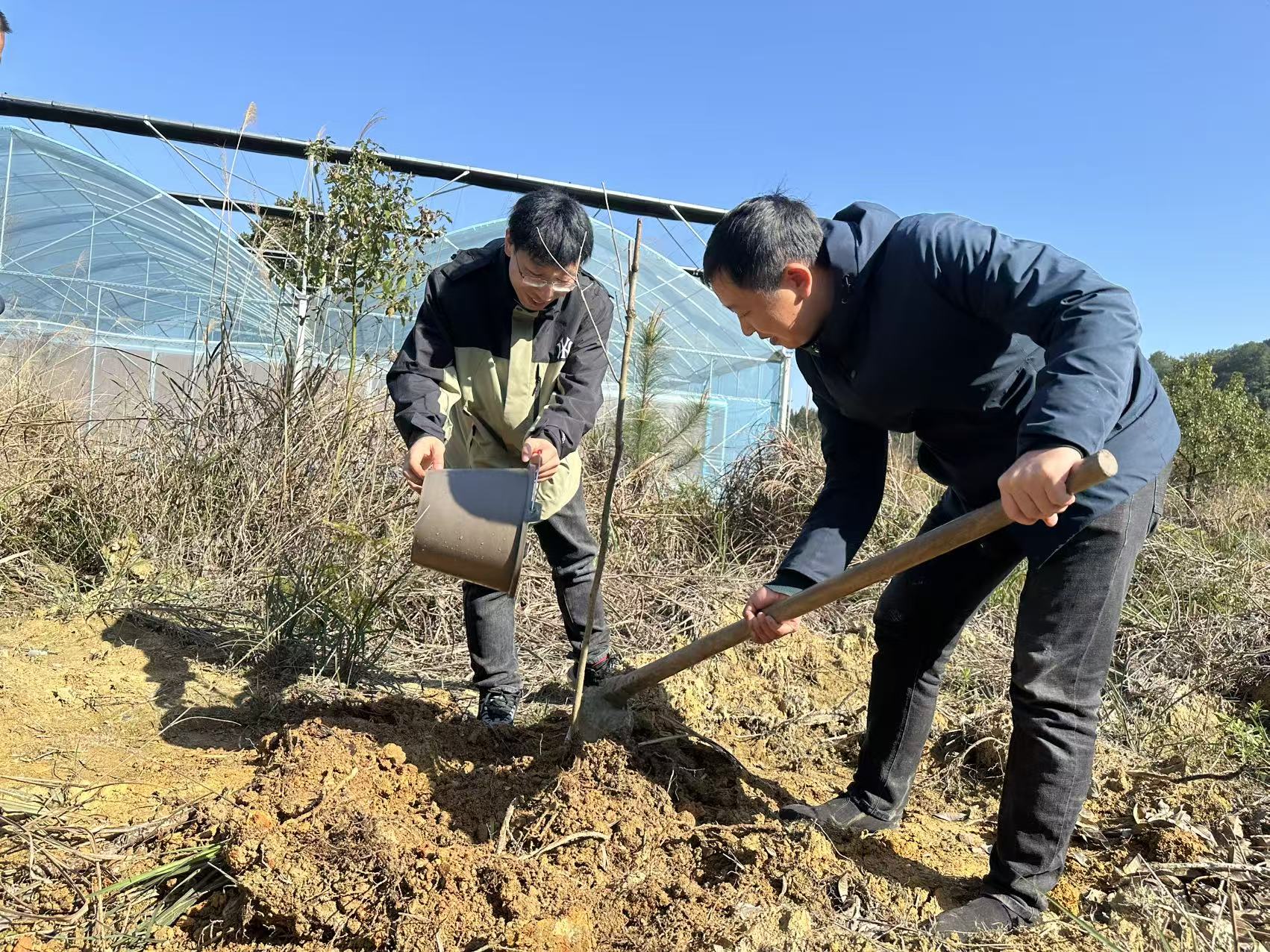 微信图片_2026-03-16_101323_631.jpg 微信图片_2026-03-16_101323_631.jpg