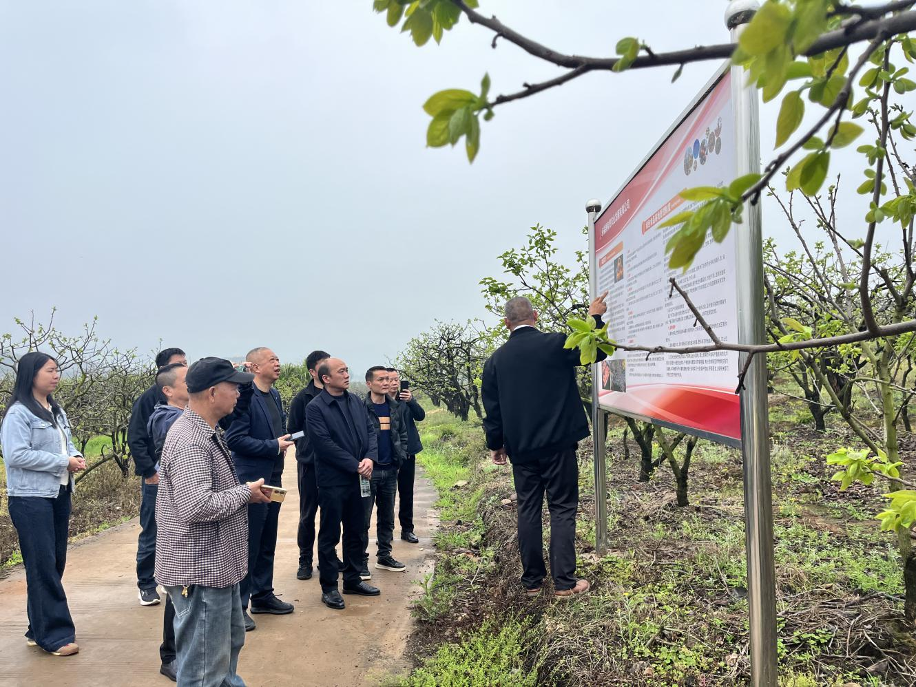 图片1.png 图片1.png