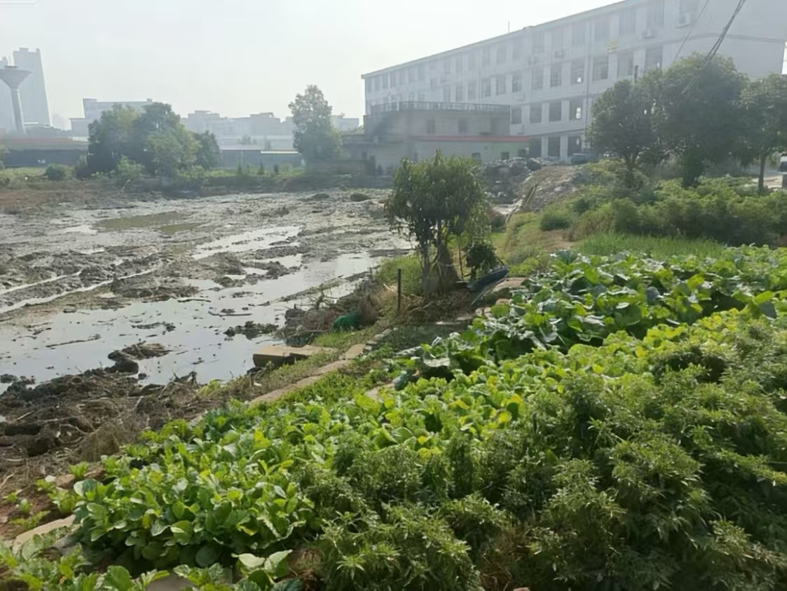 项目改造前，池塘淤泥堆积、臭水沟污水横流、菜地内杂乱无章.jpg