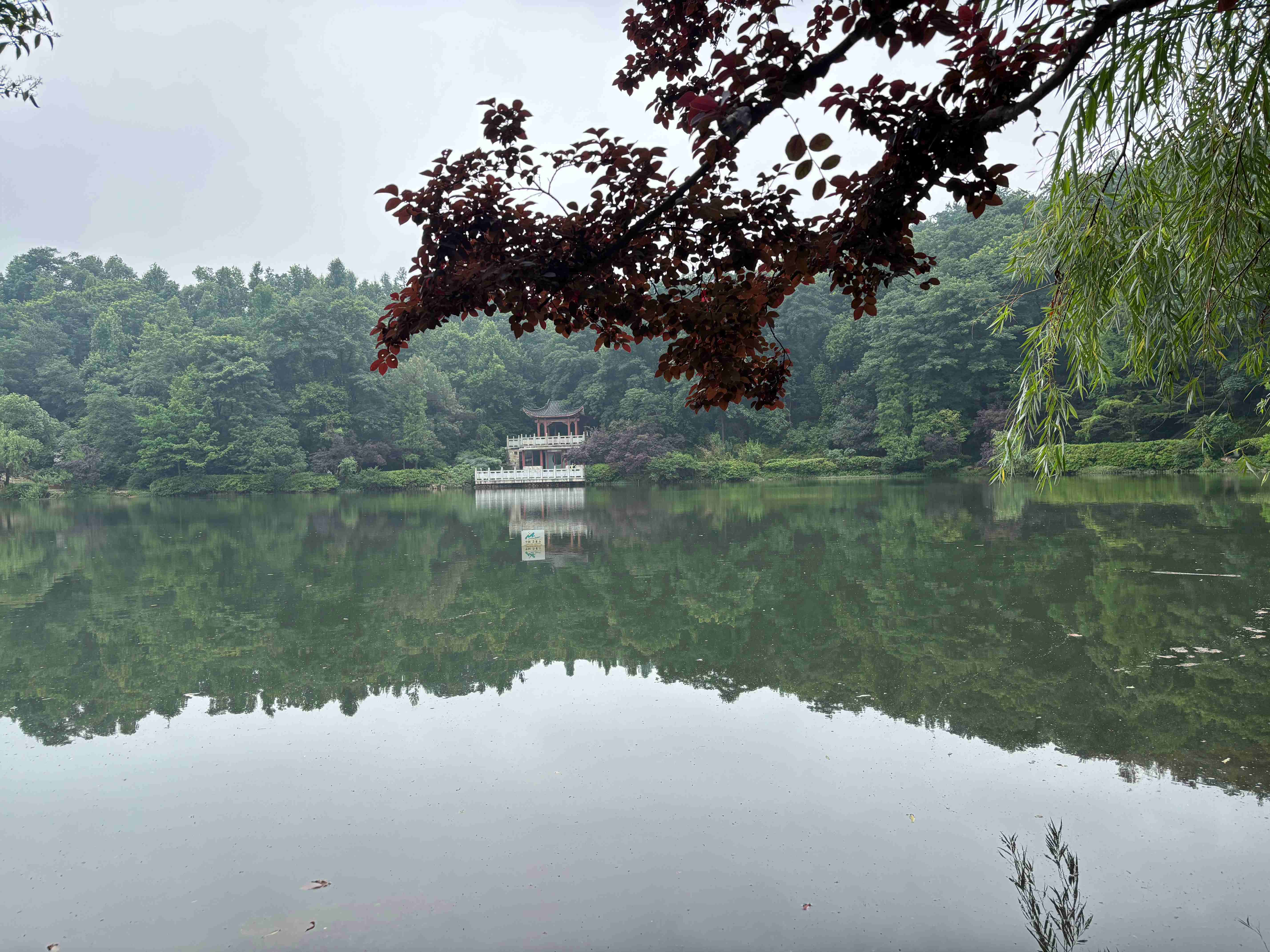 微信图片_20260611090633_187_2.jpg 微信图片_20260611090633_187_2.jpg