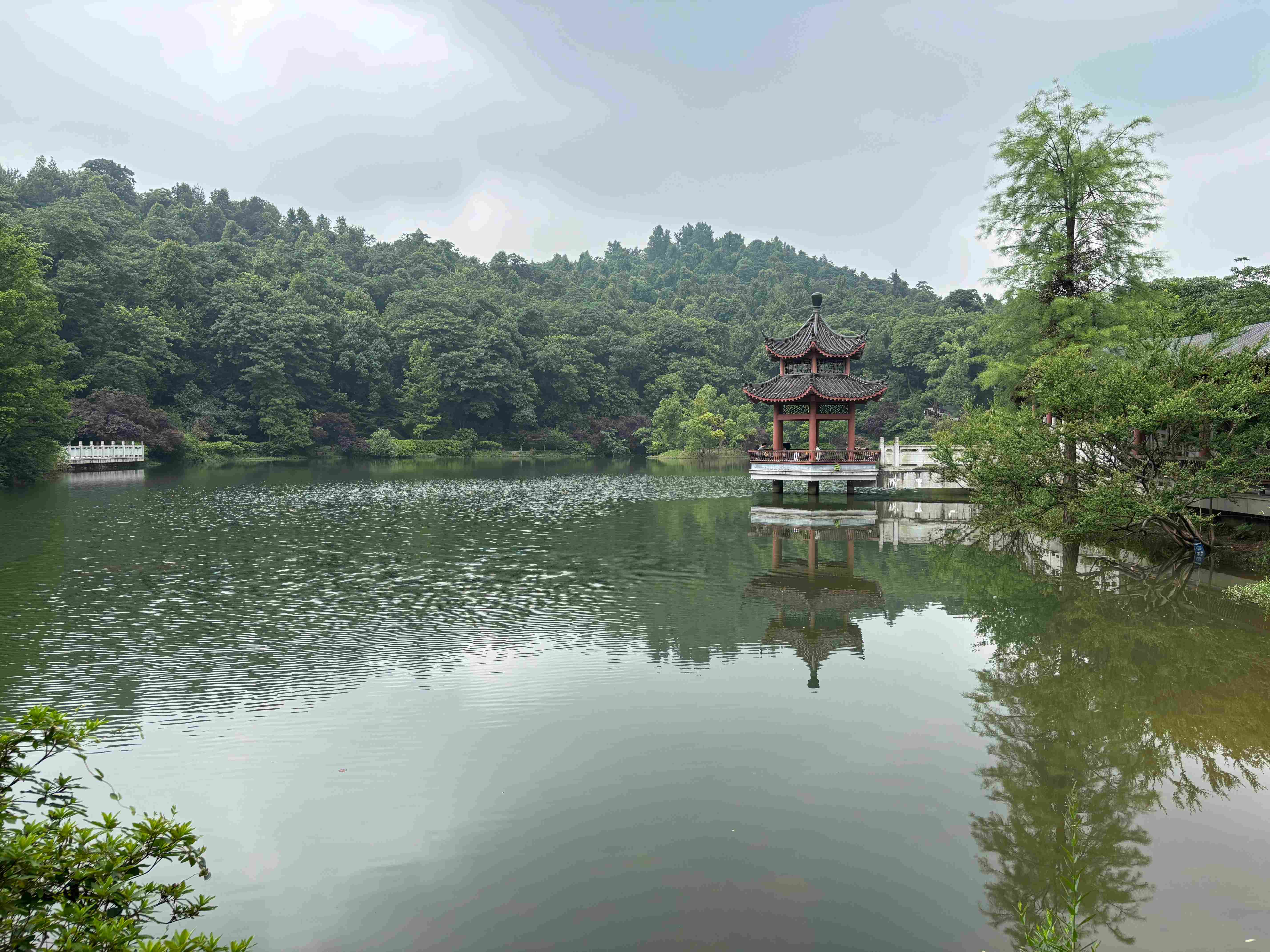 微信图片_20260611090632_186_2.jpg 微信图片_20260611090632_186_2.jpg
