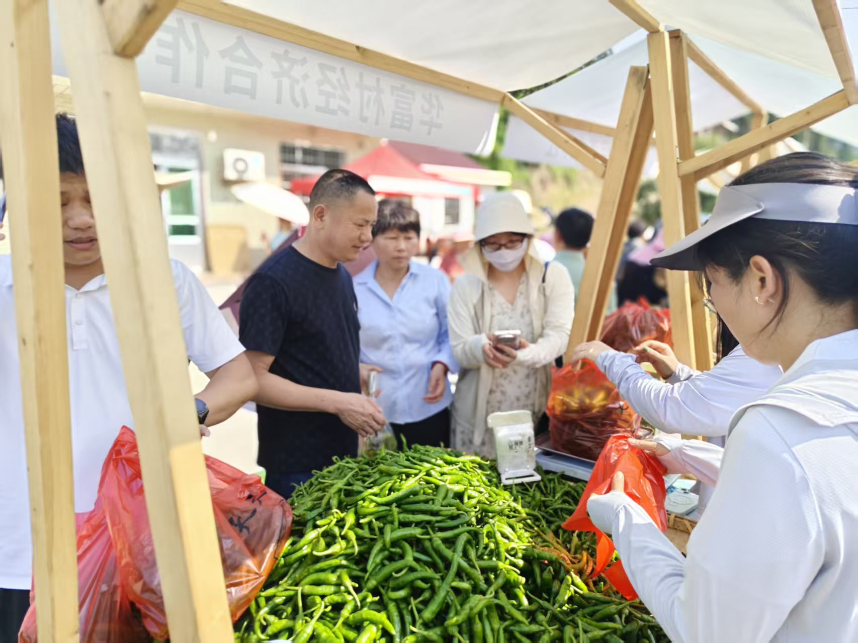 微信图片_20260714164532_3963_136.jpg 微信图片_20260714164532_3963_136.jpg