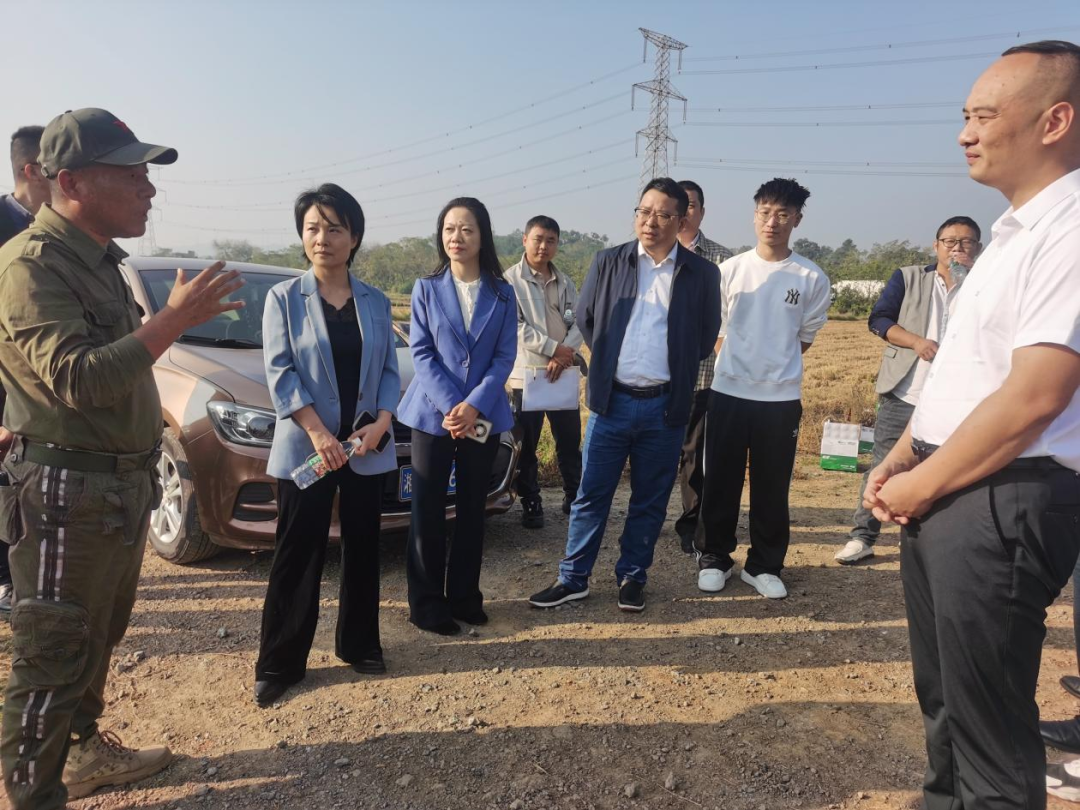 2024年11月13日专项民主监督丨关注秸秆综合利用 (2).png