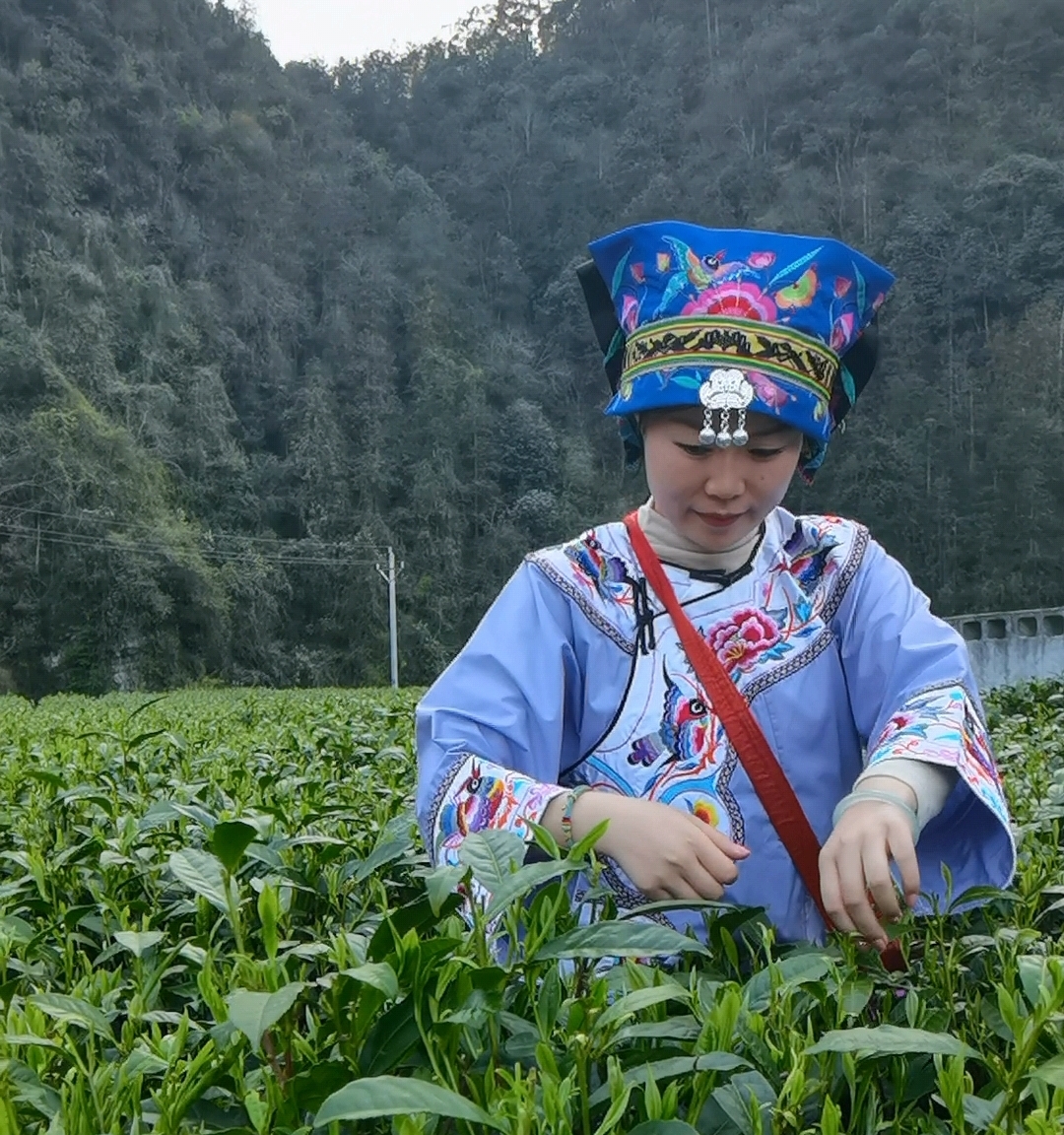 第一张.jpg
