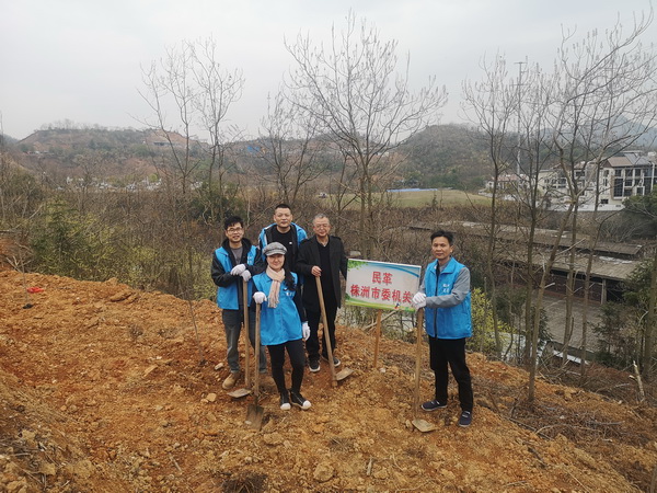 纪念中山先生 助力绿色发展 民革株洲市委会机关开展植树活动 (2).jpg