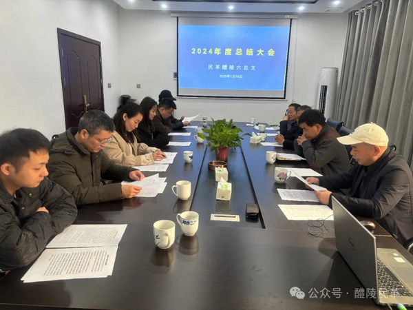 凝心聚力 民革醴陵市委会各基层支部多形式开展支部活动 (3).jpg