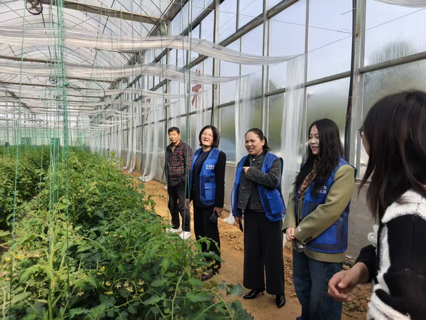 民革同心聚合力 科技健康促振兴——民革株洲市渌口区支部“一渌同心”活动走进朱亭镇浦湾村 (3).jpg