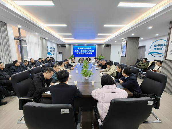 民革株洲市委会召开工委、基层组织及支部内部监督员工作会议 (3).jpg
