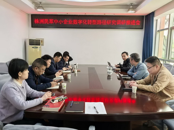 聚焦数字转型 凝聚履职合力 民革株洲市委会召开中小企业数字化转型路径研究调研课题推进会 (1).jpg