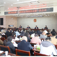 汇聚民智 共谋发展|洞井街道第一届居民 议事委员会第一次会议顺利召开