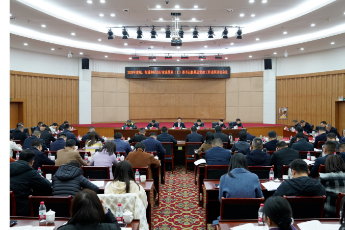 雨花区召开2025年度镇、街道和区直行业系统党（工）委书记抓基层党建工作述职评议会议