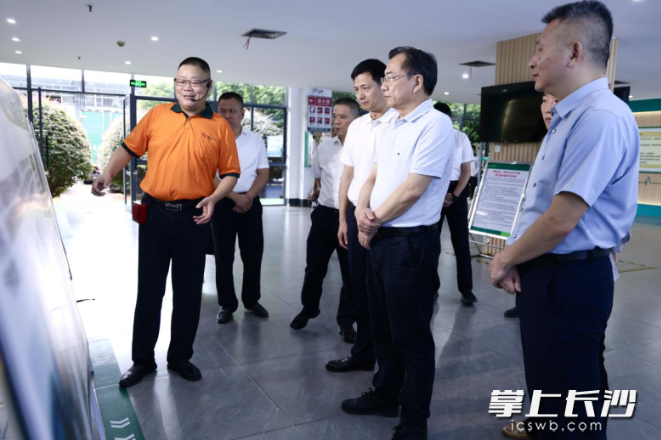 省第一生态环境保护督察组下沉长沙县、雨花区、天心区督导工作