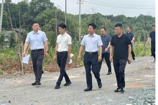 区领导现场督导省级环保督察“回头看”重点案件、典型案例、交办件工作