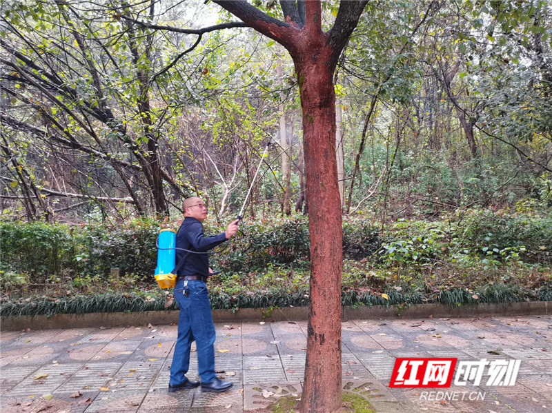 图片10.jpg