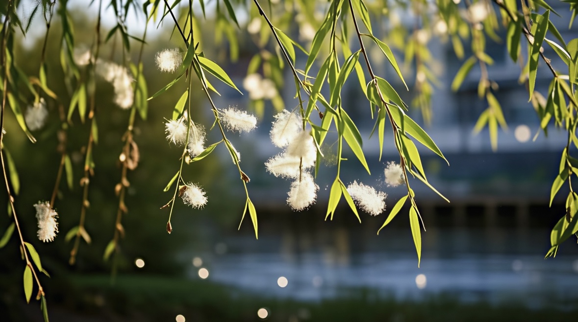 微信图片_20250507141953.jpg 微信图片_20250507141953.jpg