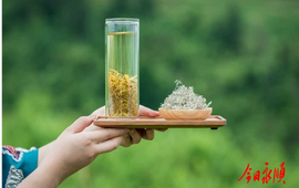 一片莓茶兴乡村 青春实干铸担当——记新湖南贡献奖湖南省优秀民营企业家王少甫