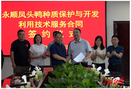 永顺举办凤头鸭种质资源保护与开发利用技术服务合同签约仪式