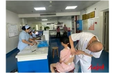 冬病夏治正当时 永顺县中医院三伏贴开贴