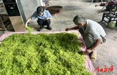 司法救助“回头看”检察温情暖童心 ——永顺县人民检察院开展未成年司法救助对象回访慰问活动