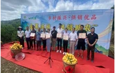 永顺：黄桃直播带货助农增收 打通农产品上行“最后一公里”