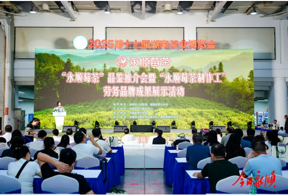 永顺莓茶闪耀第十七届湖南茶业博览会