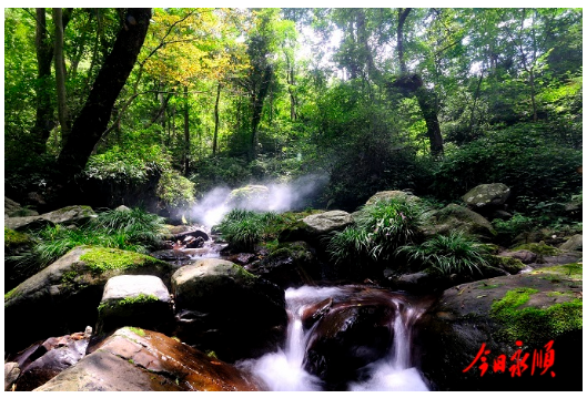 未入选“过土家年”？永顺文旅暖心加码！半价+全免福利承包全年畅游