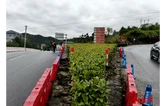 永顺公路部门深入省道S306线及龙永高速连接线开展清砍杂草修剪行道树行动