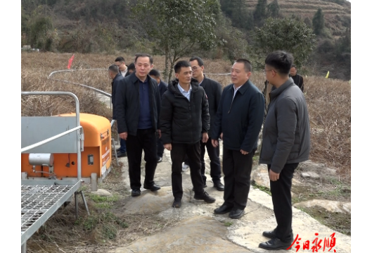 毕国强一行来永顺开展片区化推进藤茶（莓茶）产业发展调研