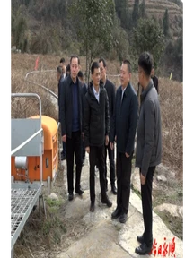 毕国强一行来永顺开展片区化推进藤茶（莓茶）产业发展调研