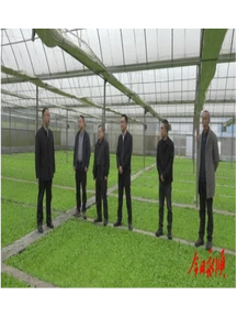 向加茂一行深入乡镇调研烤烟育苗工作开展情况