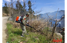 松柏镇开展2026年春季应急消防综合实战演练