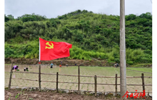 龙凤村：让党旗飘扬在稻田间