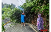 颗砂乡：闻“汛”而动勇担当 风雨坚守护平安