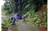 朗溪乡全力迎战暴雨筑牢群众安全防线