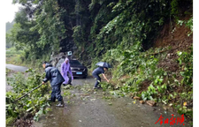 朗溪乡全力迎战暴雨筑牢群众安全防线