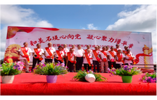 和美石堤心向党  凝心聚力谱华章