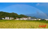 彩虹映山村
