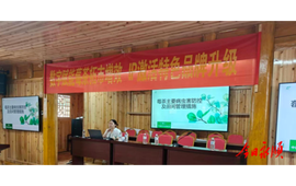 毛坝乡开展莓茶专题培训