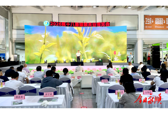 永顺莓茶香飘星城 千年贡茶焕新出彩——永顺莓茶亮相2026第十八届湖南茶业博览会