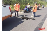 永顺县公路建设养护中心修补公路坑氹及裂缝保障公路安全畅通