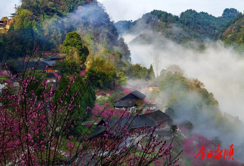 喜讯！陈家坡竹梅山寨获评五星级乡村旅游区（点）