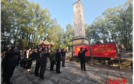 永顺县新兴领域党建业务骨干能力提升培训班开班