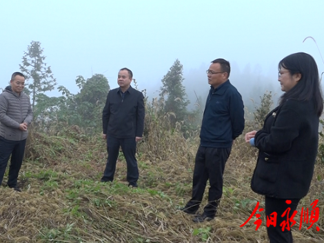 向加茂督办人大建议、政协提案办理工作